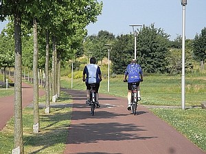 rimg0559.jpg  