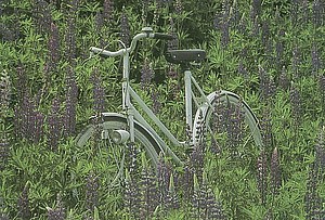 dia_0007-x.jpg  